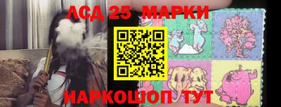 ПСИЛОЦИБИНОВЫЕ ГРИБЫ Гатчина
