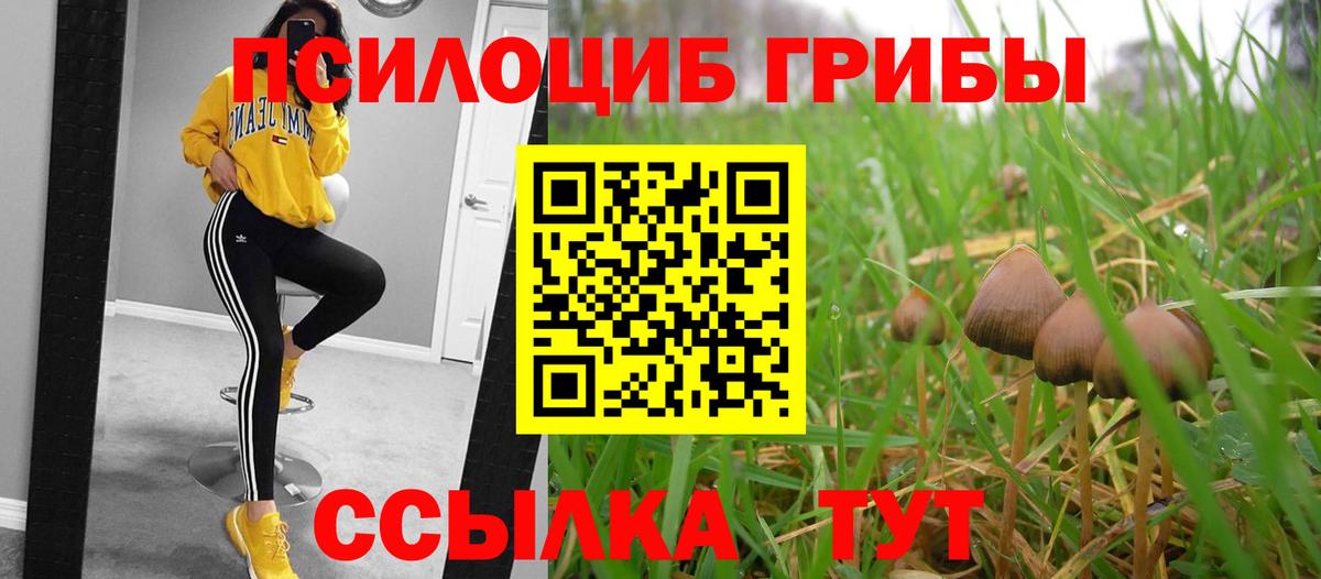 Галлюциногенные грибы прущие грибы Ростов-на-Дону