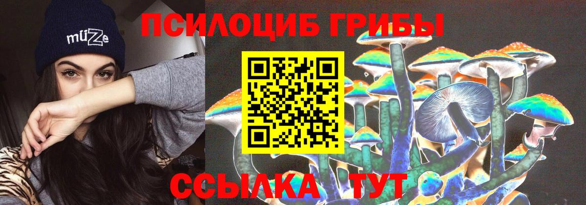 Ростов-на-Дону  Псилоцибиновые грибы Psilocybine cubensis  Вход с VPN 